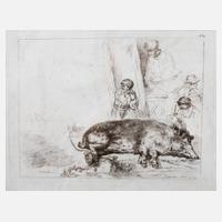 Francesco Novelli, nach Rembrand, ”Das Schwein”111