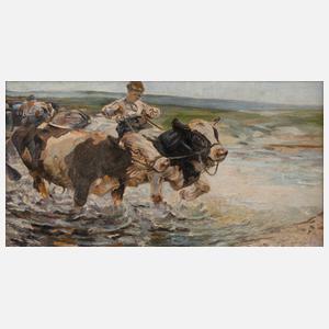 Kühe in ungarischer Puszta