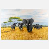 Gernot Rasenberger, Elefanten in der Savanne111