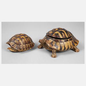 Zwei Schildkrötenpanzer