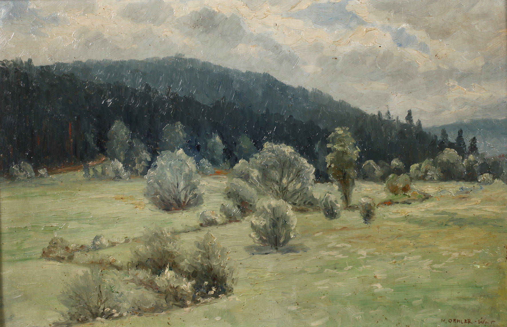 Max Oehler, Thüringer Landschaft