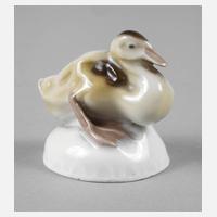 Meissen ”Junge Ente”111