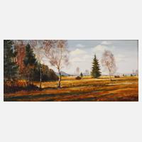 Hermann Corell, ”Im Murnauer Moor”111