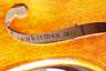 Meistervioline Paul Knorr