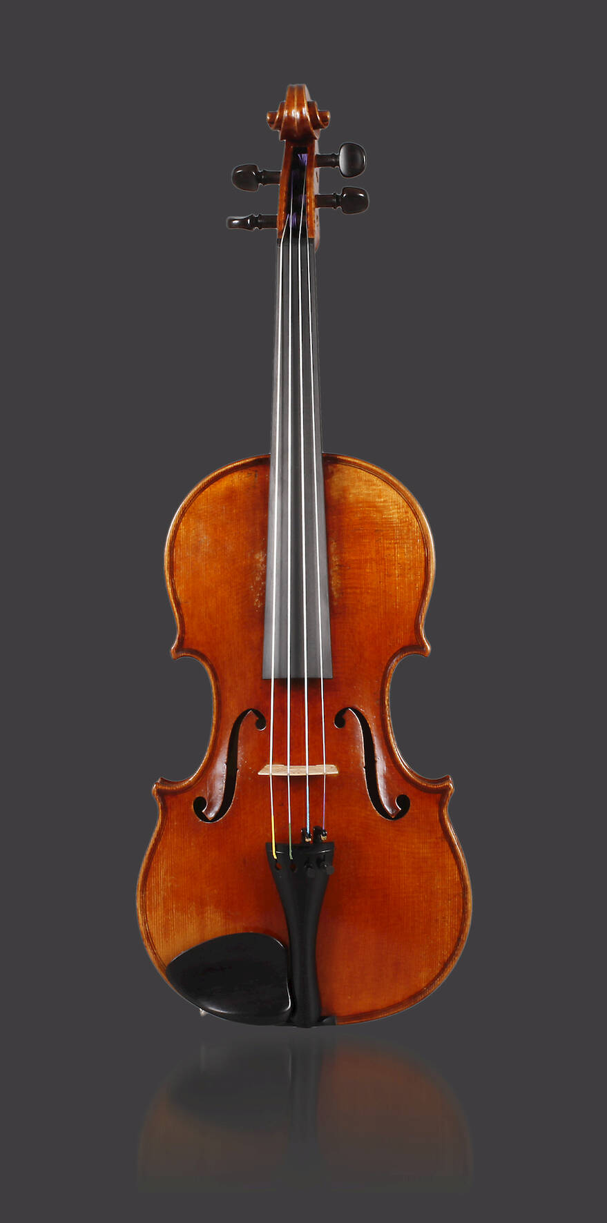 Meistervioline Paul Knorr