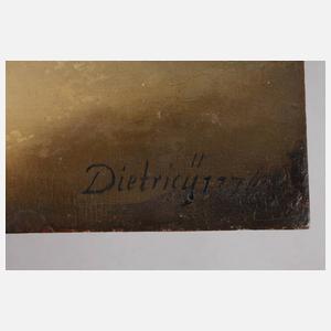 Prof. Christian Dietricy, Krankenheilung