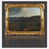 Sommerliche Gebirgslandschaft111