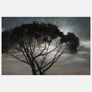 Prof. Oswald Achenbach, Nächtlicher Blick auf den Vesuv