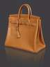 Hermès Birkin Bag