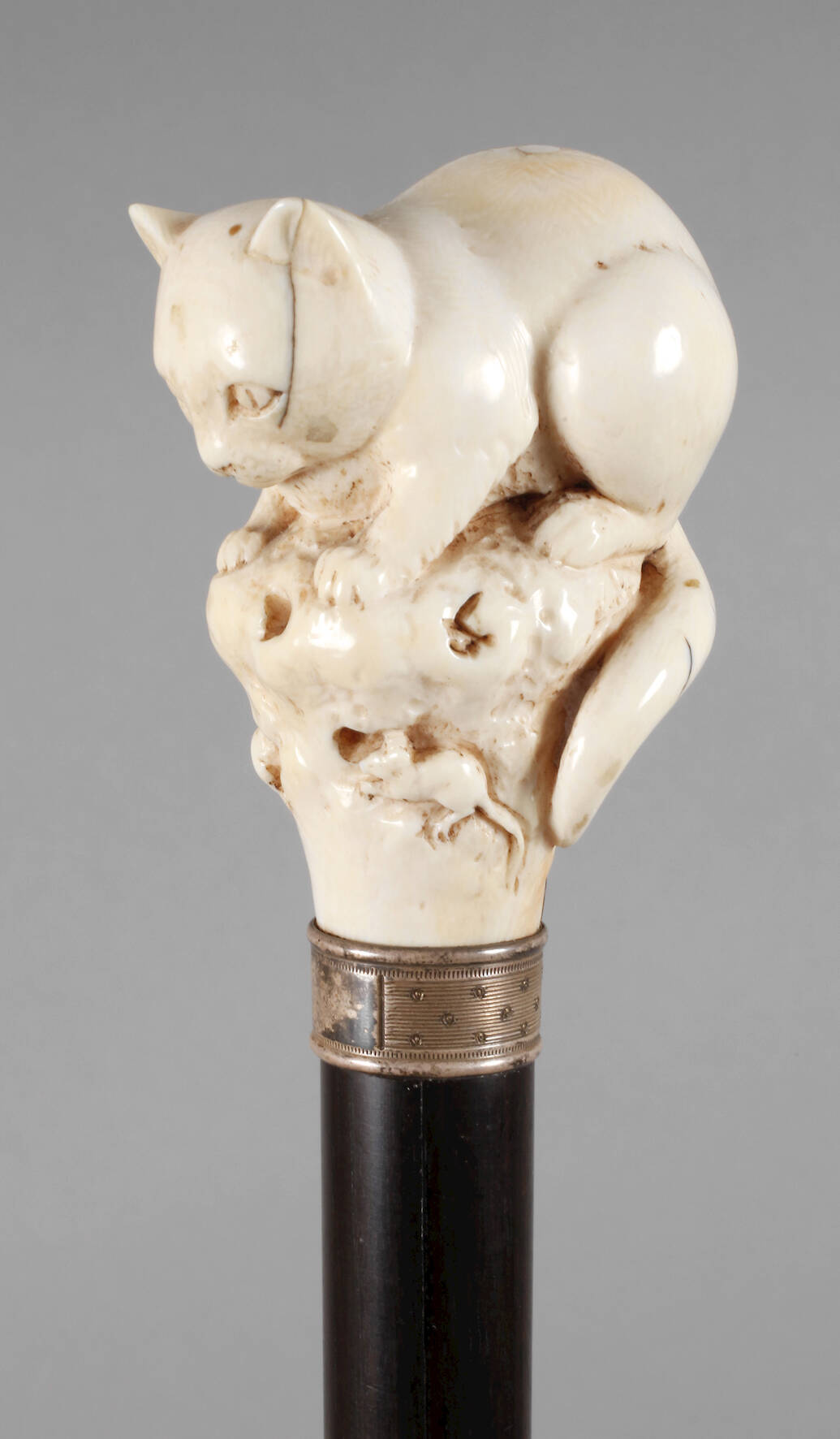 Spazierstock Elfenbein