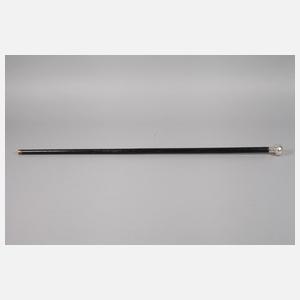 Spazierstock Silber