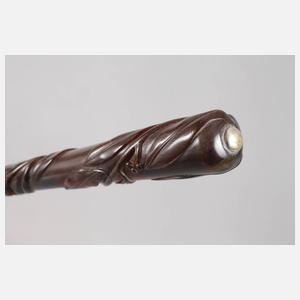 Feiner Spazierstock Schildpatt