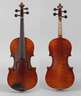 Violine