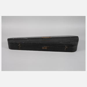 Violine im Etui