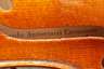Violine Antoniazzi im Etui