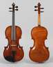 Violine