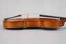 Violine