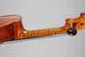 Violine
