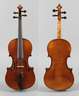 Violine