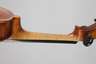 Violine