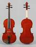Violine