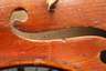Violine