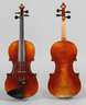 Violine