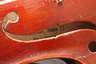 Violine