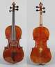 Violine