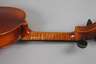 Violine