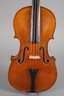 Violine