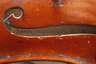 Violine
