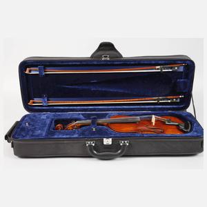 Meistervioline im Etui