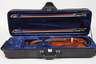 Meistervioline im Etui