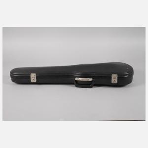 Violine im Etui