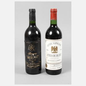 Zwei Flaschen Rotwein