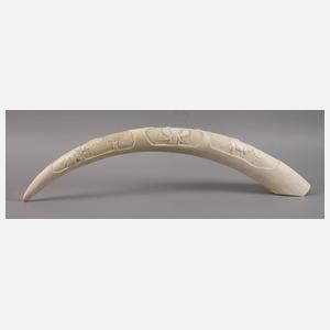 Elfenbeinstoßzahn