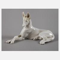 Allach Schäferhund111