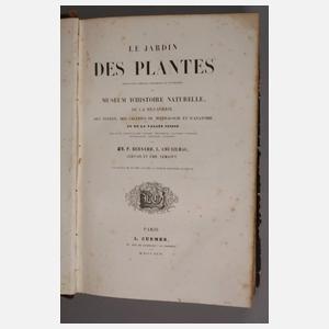 Le Jardin des Plantes