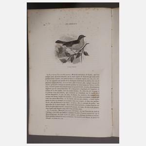 Le Jardin des Plantes