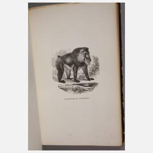 Le Jardin des Plantes