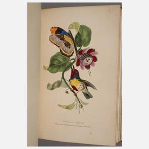 Le Jardin des Plantes