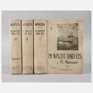 In Nacht und Eis