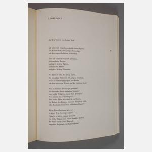 "Meine jüdischen Augen"