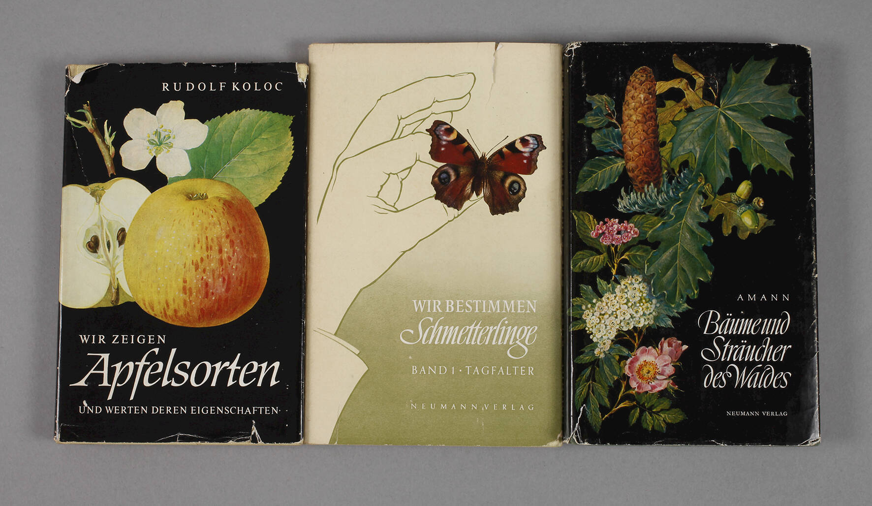 Drei Bestimmungsbücher aus dem Neumann-Verlag
