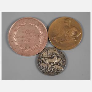 Konvolut Medaillen um 1900