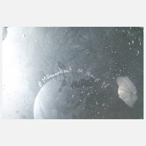 Glasschale Stefan Stangl