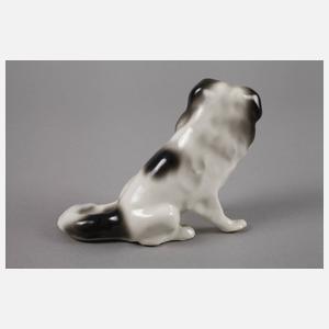 Heubach Lichte Pekinese