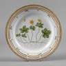 Royal Copenhagen Frühstücksteller "Flora Danica"