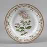 Royal Copenhagen Speiseteller "Flora Danica"